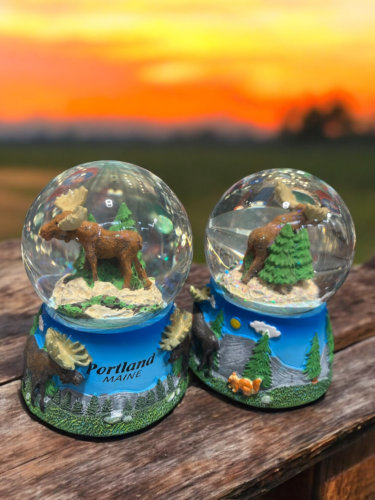 Snow Globes (Moose)