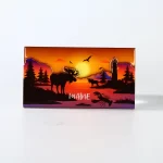 XY-60(1) Magnet XY-60